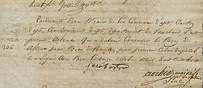 Consultez la Déclaration d'adoption de noms de famille par les Juifs d'Apt, en vertu du décret impérial du 20 juillet 1808. 