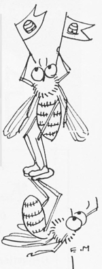 Agrandir l'image (fenêtre modale)