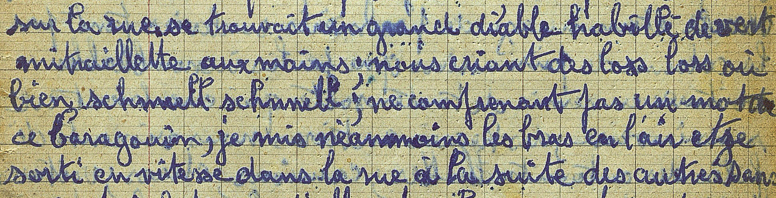 Agrandir l'image (fenêtre modale)