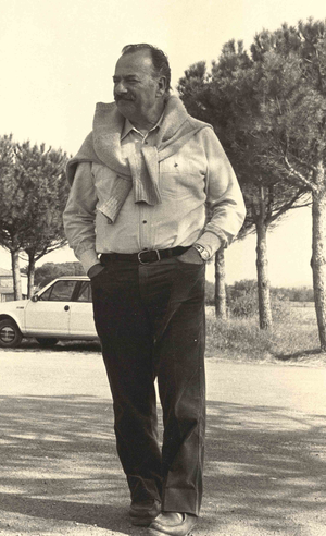 Agrandir l'image (fenêtre modale)
