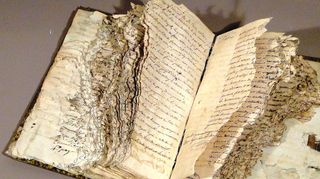Agrandir l'image (fenêtre modale)