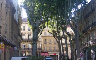 Rue Viala à Avignon