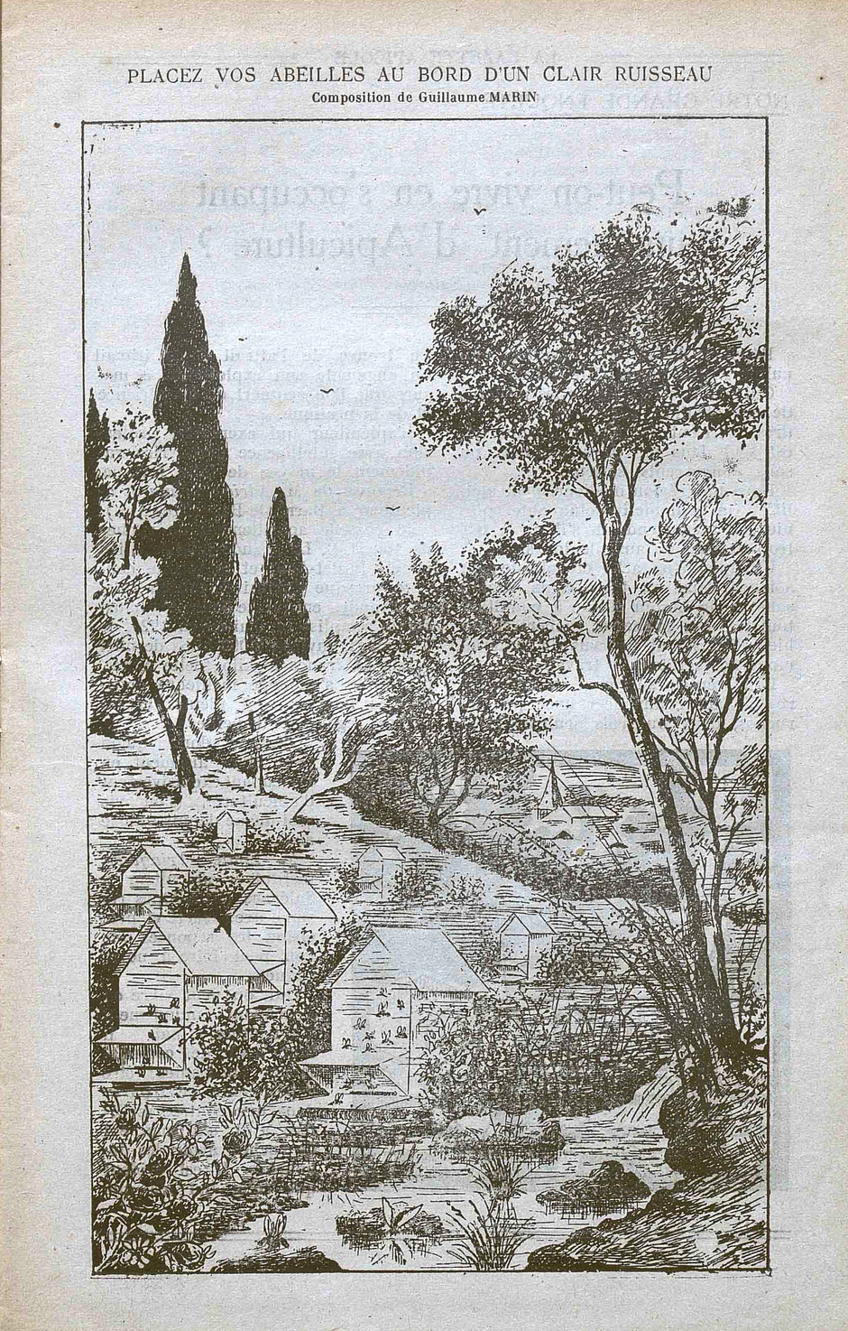Agrandir l'image (fenêtre modale)