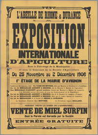 Agrandir l'image (fenêtre modale)