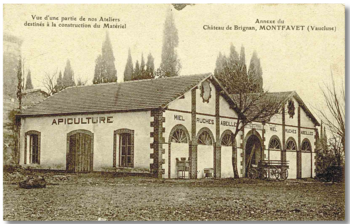 Agrandir l'image (fenêtre modale)